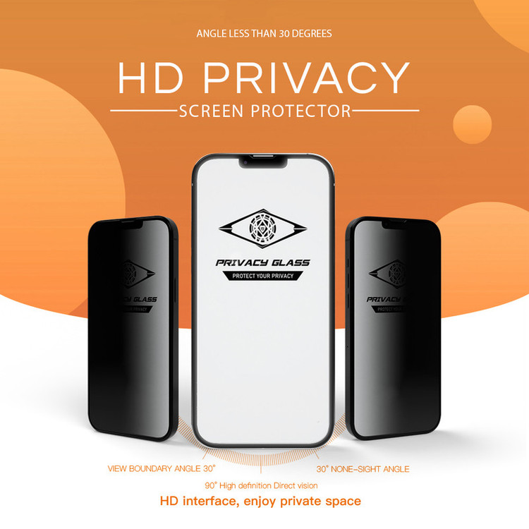 محافظ صفحه نمایش حریم شخصی اپیکوی مدل PvSight مناسب برای گوشی موبایل اپل iPhone 12 / 12 Pro