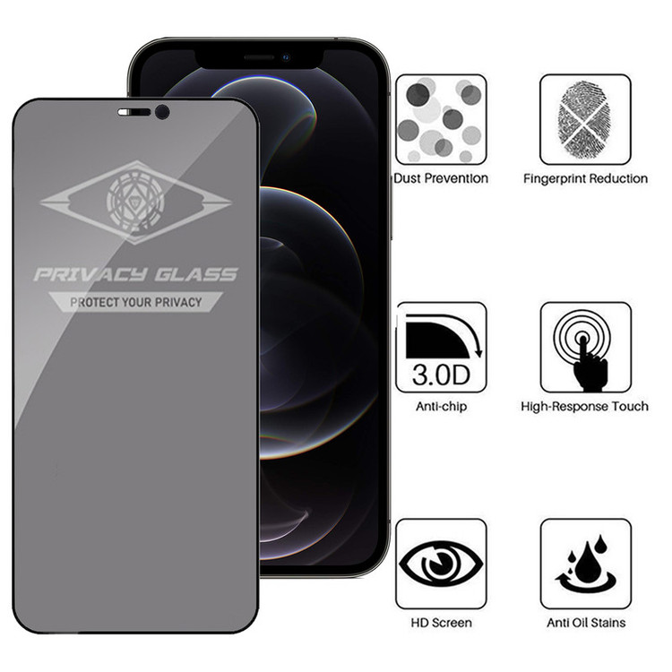 محافظ صفحه نمایش حریم شخصی اپیکوی مدل PvSight مناسب برای گوشی موبایل اپل iPhone 12 / 12 Pro