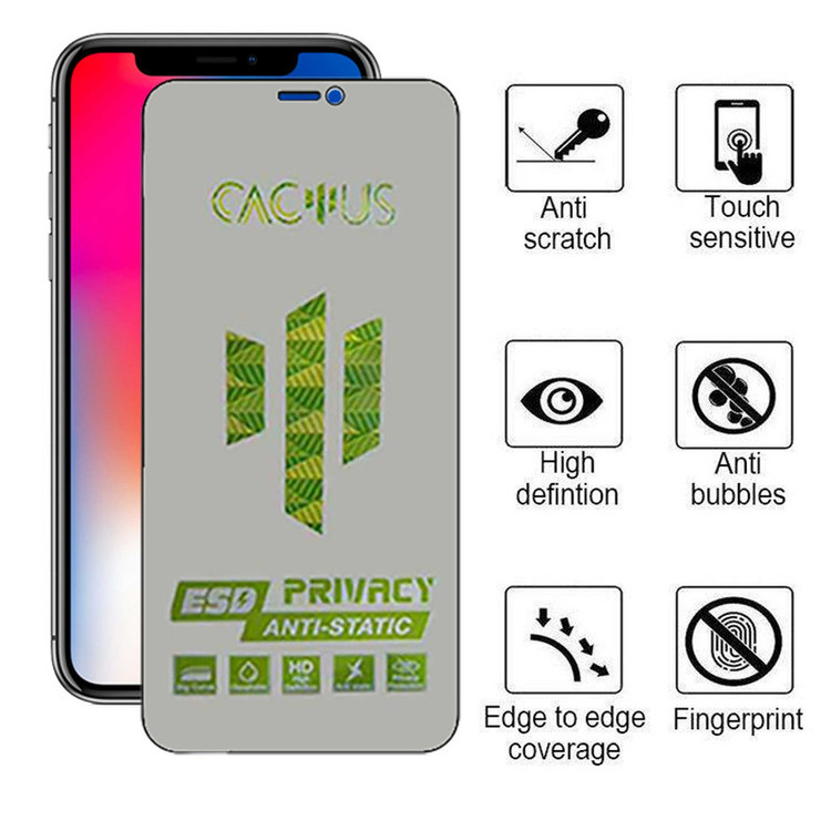 محافظ صفحه نمایش حریم شخصی اپیکوی مدل Cactus-ESD-Privacy مناسب برای گوشی موبایل اپل iPhone Xs/ X