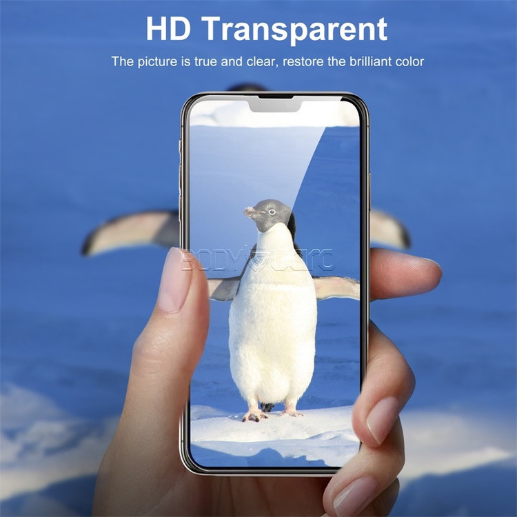 محافظ صفحه نمایش بادیگارد مدل FIP مناسب برای گوشی موبایل اپل iPhone 13 Pro Max
