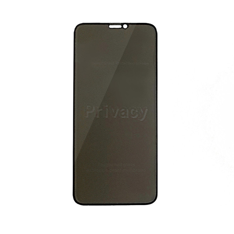 محافظ صفحه نمایش حریم شخصی گریفین مدل FLPRC GN pl مناسب برای گوشی موبایل اپل iPhone11 Pro
