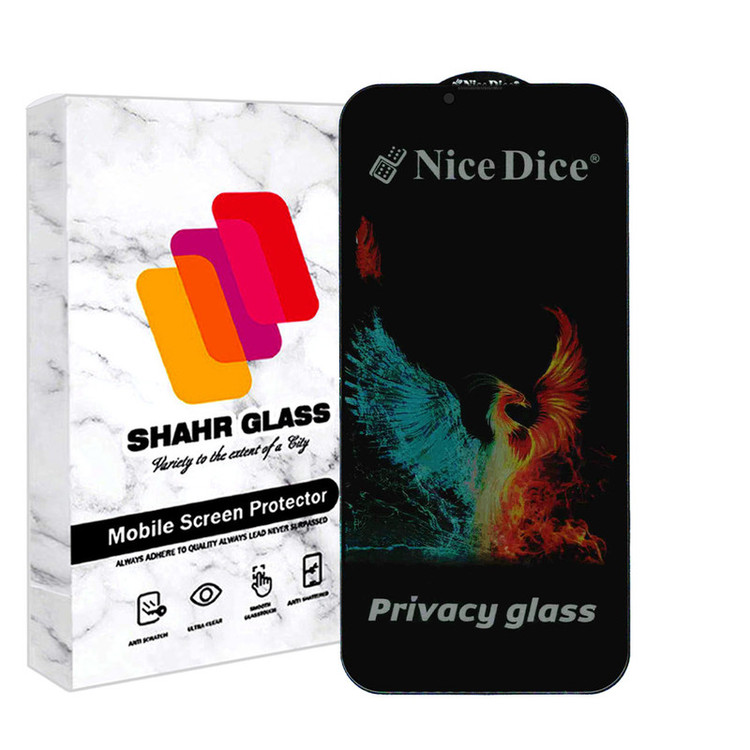 محافظ صفحه نمایش حریم شخصی شهر گلس مدل NICEDICESH مناسب برای گوشی موبایل اپل iPhone 13 Pro