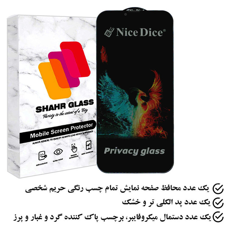 محافظ صفحه نمایش حریم شخصی شهر گلس مدل NICEDICESH مناسب برای گوشی موبایل اپل iPhone 13 Pro