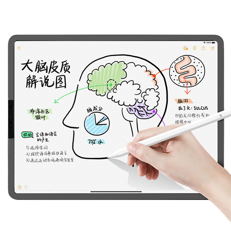 محافظ صفحه نمایش مات بوف مدل Magnetic مناسب برای تبلت اپل iPad 10.2 2021/2020/2019