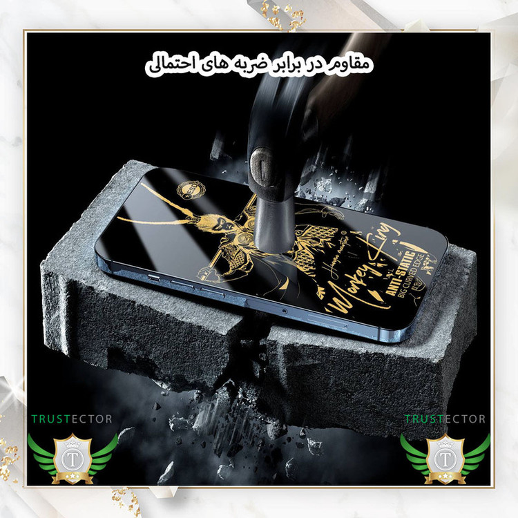 محافظ صفحه نمایش آنتی استاتیک تراستکتور مدل ANTGT20 مناسب برای گوشی موبایل اپل iPhone 12 Pro Max