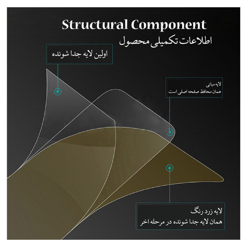 محافظ صفحه نمایش شهر گلس مدل 2FN_14 مناسب برای گوشی موبایل اپل iPhone 14 به همراه محافظ پشت گوشی