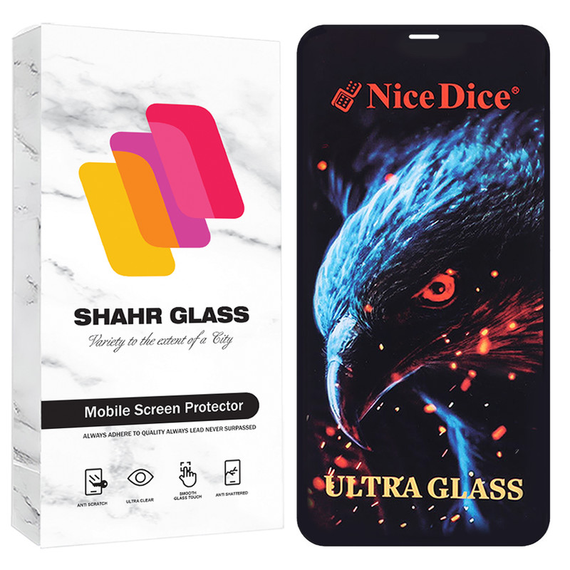 محافظ صفحه نمایش شهر گلس مدل NDUS مناسب برای گوشی موبایل اپل iPhone 12 Pro