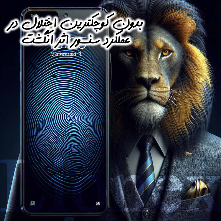 محافظ صفحه نمایش لایونکس مدل PRIL20 مناسب برای گوشی موبایل سامسونگ Galaxy S24 Plus